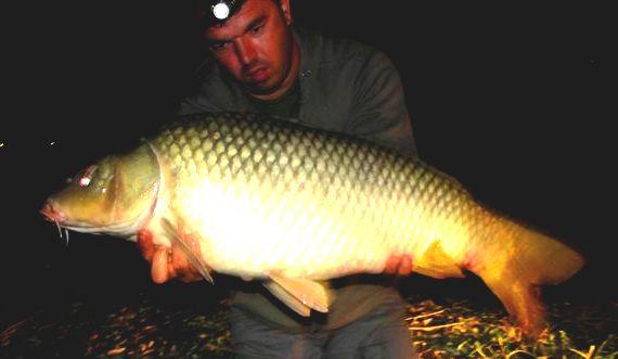 Hermes Peris 7 - 8 august 2014 - dsc04420.JPG